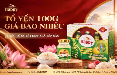 TỔ YẾN 100G GIÁ BAO NHIÊU? 6 YẾU TỐ QUYẾT ĐỊNH GIÁ YẾN SÀO