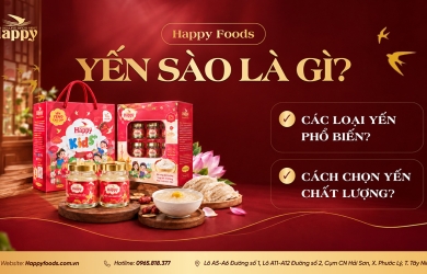 YẾN THÔ VÀ YẾN TINH CHẾ KHÁC NHAU THẾ NÀO? NÊN MUA LOẠI NÀO?