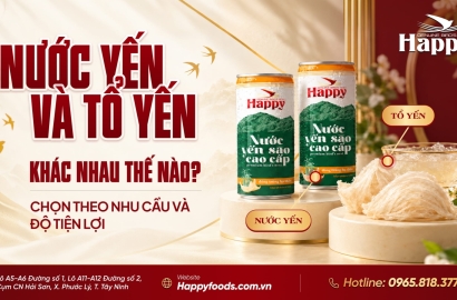Nước Yến Và Tổ Yến Khác Gì? Cách Chọn Theo Nhu Cầu