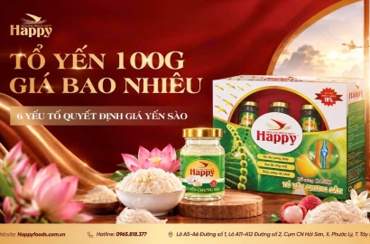 TỔ YẾN 100G GIÁ BAO NHIÊU? 6 YẾU TỐ QUYẾT ĐỊNH GIÁ YẾN SÀO
