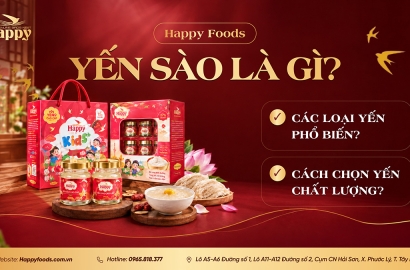 YẾN SÀO LÀ GÌ? CÁC LOẠI YẾN PHỔ BIẾN VÀ CÁCH CHỌN YẾN SÀO CHẤT LƯỢNG