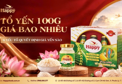 TỔ YẾN 100G GIÁ BAO NHIÊU? 6 YẾU TỐ QUYẾT ĐỊNH GIÁ YẾN SÀO