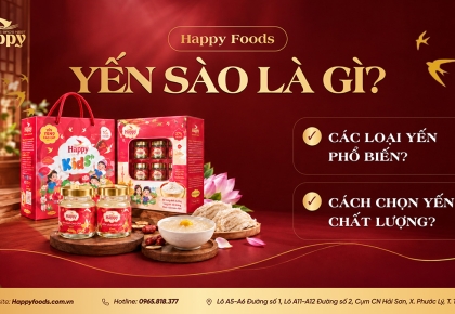 YẾN SÀO LÀ GÌ? CÁC LOẠI YẾN PHỔ BIẾN VÀ CÁCH CHỌN YẾN SÀO CHẤT LƯỢNG