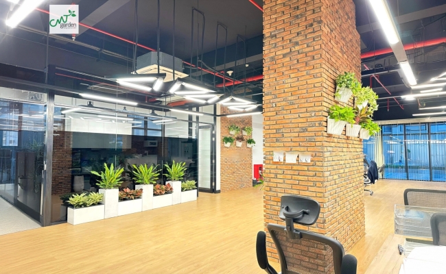 Dự án cây xanh văn phòng 2