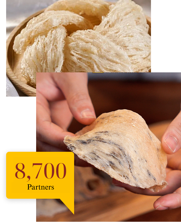 Đôi nét Yến Sào Happy Foods